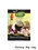 FungYue Shito Seasoning Powder 50g Seasoning Factory